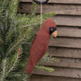 Stuffed Primitive Cardinal Ornament GCS38866