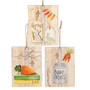 Bunny Treats Ornament 3 Assorted (Pack Of 3) GFP025