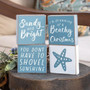 Sandy & Bright Block 4 Assorted (Pack Of 4) GH37215