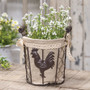 Fabric Lined Chicken Wire Rooster Bucket GQX19446M