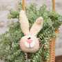 Fuzzy Bunny Boy Ornament GS24132