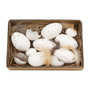 White Speckled Eggs In Box GSHNE4003