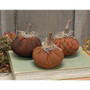 Stuffed Mossy Top Mini Pumpkin 3 Assorted (Pack Of 3) GU22048