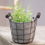 Metal Wire Basket With Cement Pot