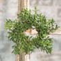 New England Boxwood Candle Ring, 7" (5 Pack)