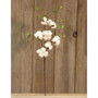 Cotton & Willow Leaves Spray, 24" (2 Pack)