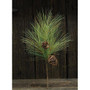 Fine Woody Needle Pine Branch 24"