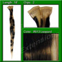 Platinum Leopard Highlight Streak Pack PRHL-2-613L