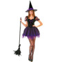 Wicked Witch Adult Costume, L MCOS-018L
