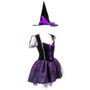 Wicked Witch Adult Costume, L MCOS-018L