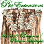 #6/613 Chestnut Brown W/ Platinum Highlights - 20 Inch PRST-20-6613