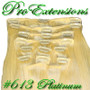 #613 Platinum - 24 Inch Remy PRRM-24-613
