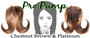 #6/613 Chestnut Brown W/ Platinum Pro Pump - Tease With Ease PRPP-6613