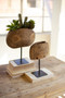 Two Set Repurposed Wooden Cow Bell Planters On Iron Stands