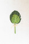(6 Pack) Decorative Monstera Leaf Bundle