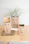 Three Set Square Clay Face Planters