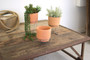 (3 Set) Natural Clay Planters With Wire Bases