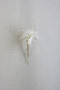 (6 Pack) Decorative White Airplant Single Stem Small