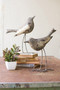 Rustic Grey Decorative Set Of 2 Metal Birds