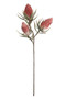 (6 Pack) Decorative Decroative Botanica -809