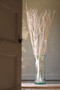 (6 Pack) Decorative Set Of 3 Bleached Willow Branches