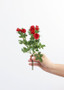 Fake Flowers Mini Open Silk Rose Bush In Red - 10" (Bundle Of 3)