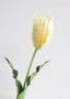 Real Touch Pale Yellow Fake Parrot Tulip