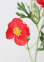 Poppy Artificial Wildflowers In Red (Bundle Of 2)
