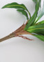 Plastic Tropical Bromeliad Leaf Plant - 11" Tall (Bundle Of 2)