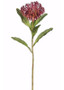 Plastic Open Needle Protea Spray In Burgundy - 26" Tall (Bundle Of 2)
