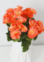 Orange Begonia Silk Flowers Bush - 10"