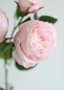 Natural Touch Artificial Roses In Blush - 21" Tall