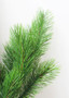 Indoor/Outdoor Artificial Pine Winter Greenery - 22" Tall