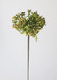 Fake Allium Flower Bud In Green