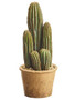 Fake House Plants Column Cactus In Pot - 9.5" Tall
