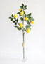 Fake Lemon Fruit Branch