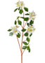 Cream White Fake Tropical Citrus Blossom Flower Branch - 29" Tall