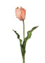 Coral Real Touch Faux Parrot Tulip