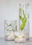 Clear Glass Cylinder Vase Wedding Decoration - 5"