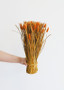 Autumn Orange Preserved Cattails Bundle