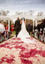 Biodegradable Dried Rose Petals In Red