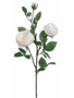 Silk Cabbage Rose Spray In White - 29" Tall