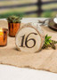 Set Of 20 Natural Wood Slice Table Numbers - 4" Wide