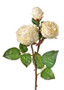 Natural Touch Artificial Roses In Cream Blush - 21" Tall