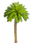 Artificial Mini Echeveria Succulent Pick - 5" Tall (Bundle Of 6)