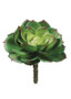 Faux Succulent Cabbage Echeveria Stem In Green & Burgundy - 5" Wide