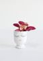 Small Ceramic Celfie Face Floral Vase