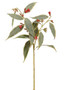 Artificial Blooming Seeded Eucalyptus In Red - 29" Tall (Bundle Of 2)