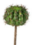 Fake Succulents Barrel Cactus Pick - 7" Tall (Bundle Of 3)