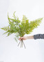 Artificial Forest Fern Leaves - 34" Tall (Bundle Of 2)
